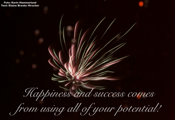 Happiness and success comes from using all of your potential!